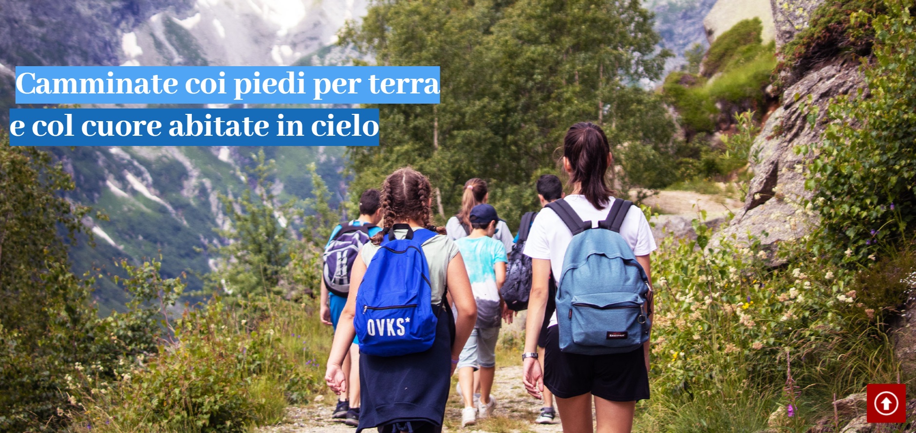 Immagine 3